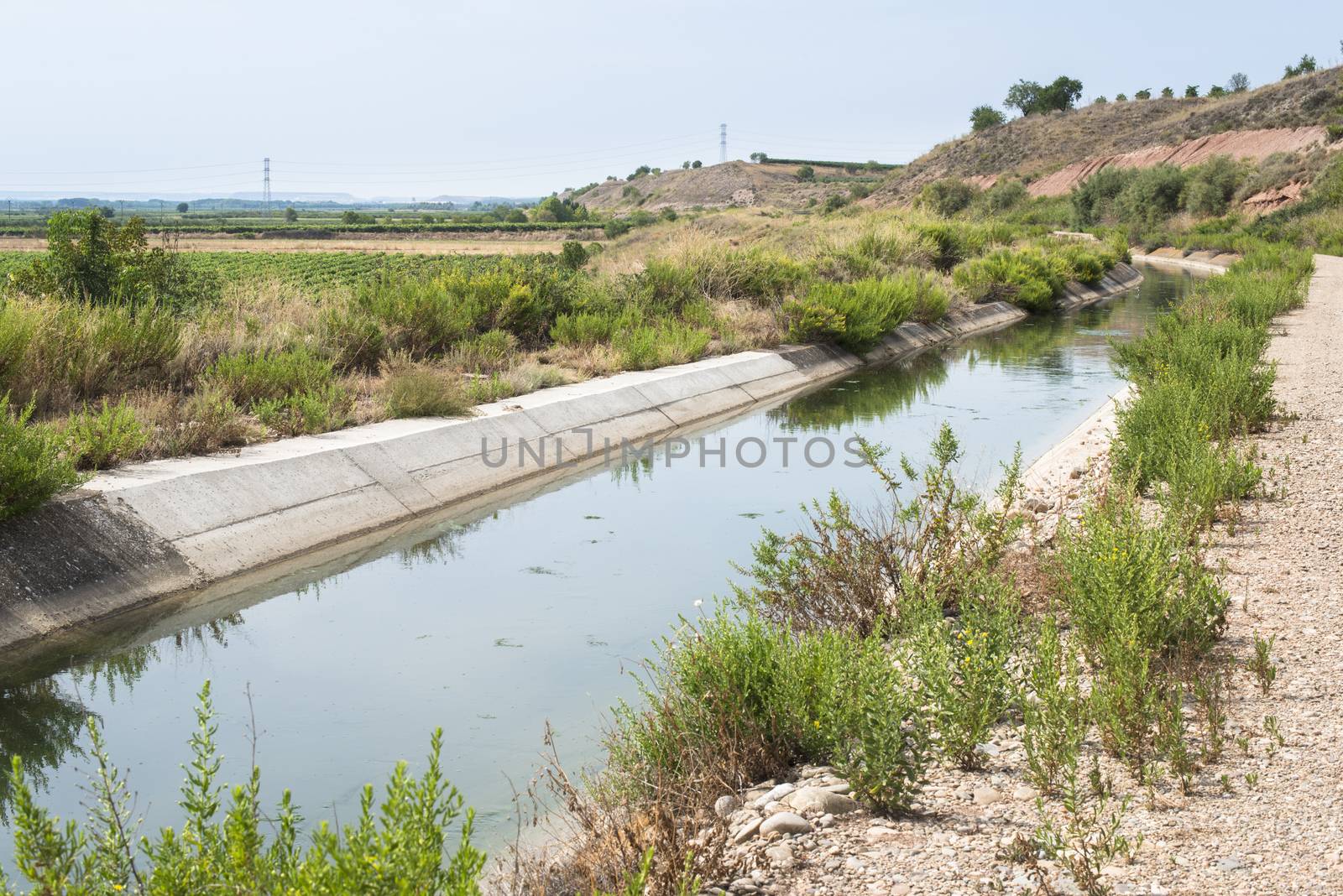 Irrigation canal and green plants