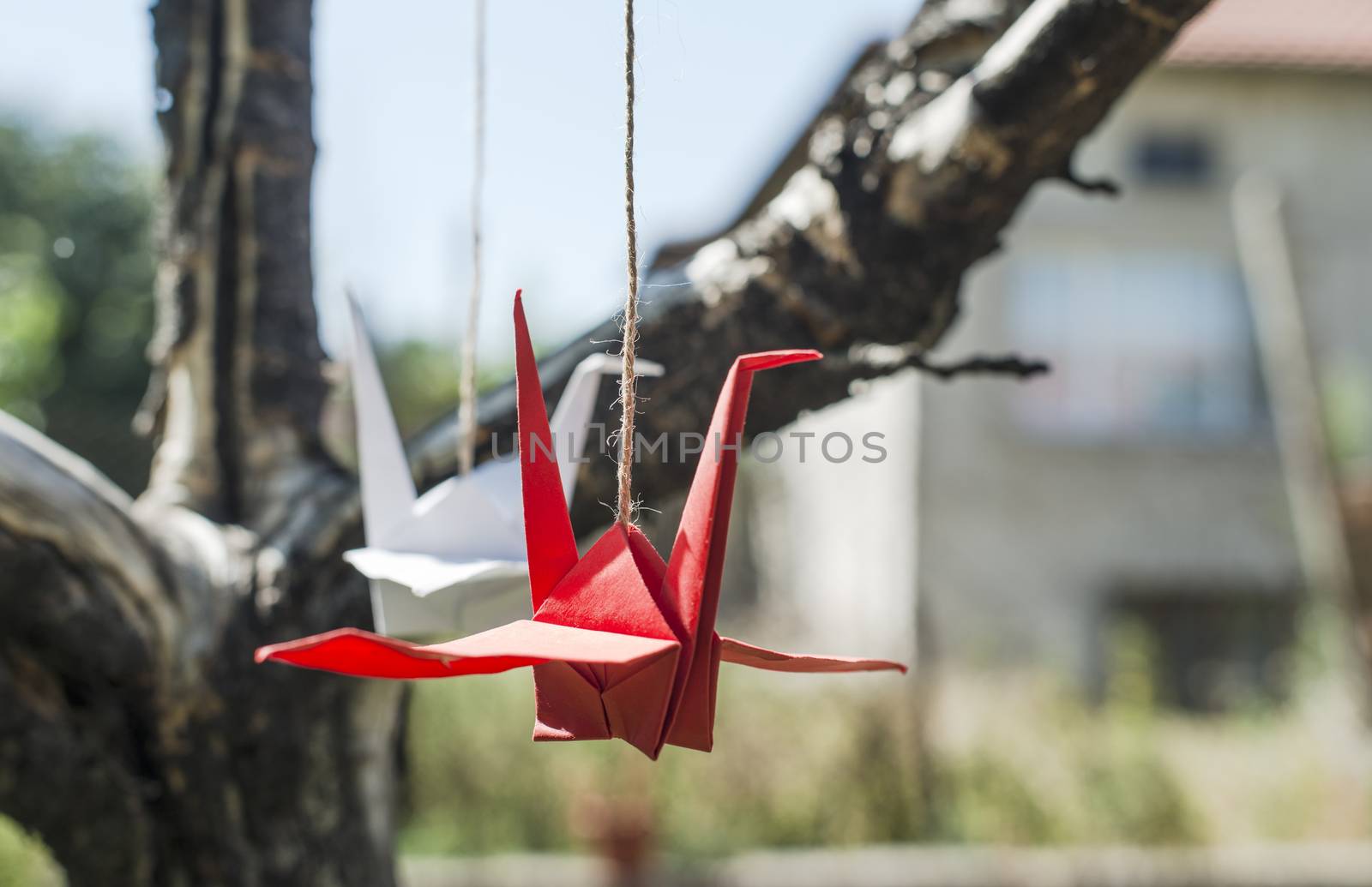 Origami cranes in the garden. Figures of paper in the nature. Red and white cranes on tree.