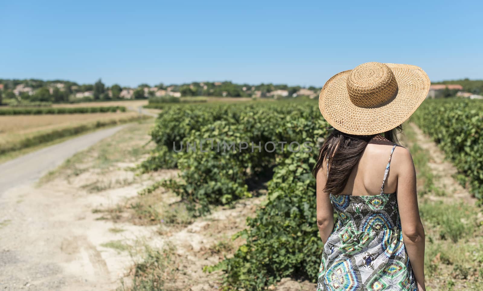 Woman with hat and vineyards by deyan_georgiev
