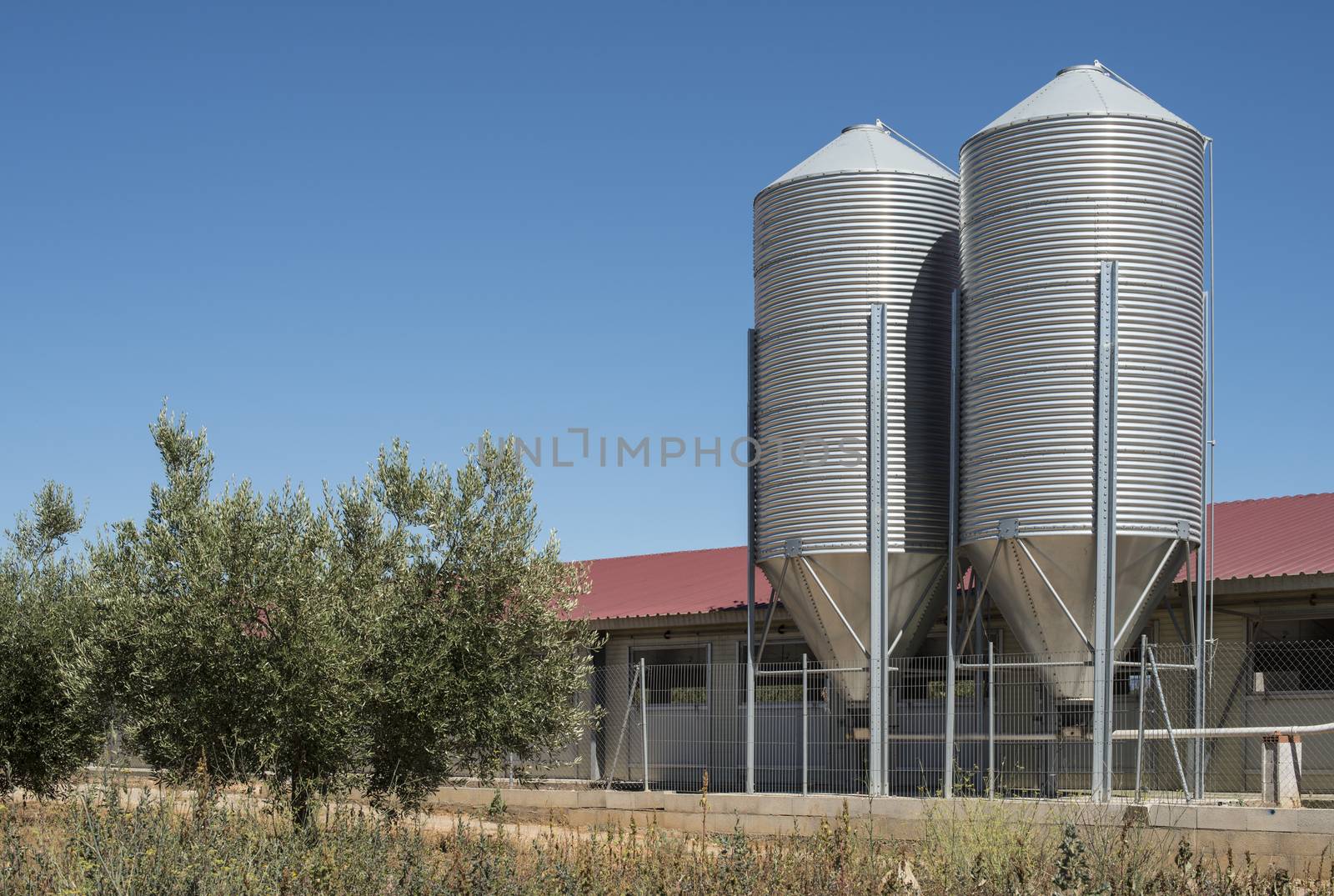 Almond trees and factory