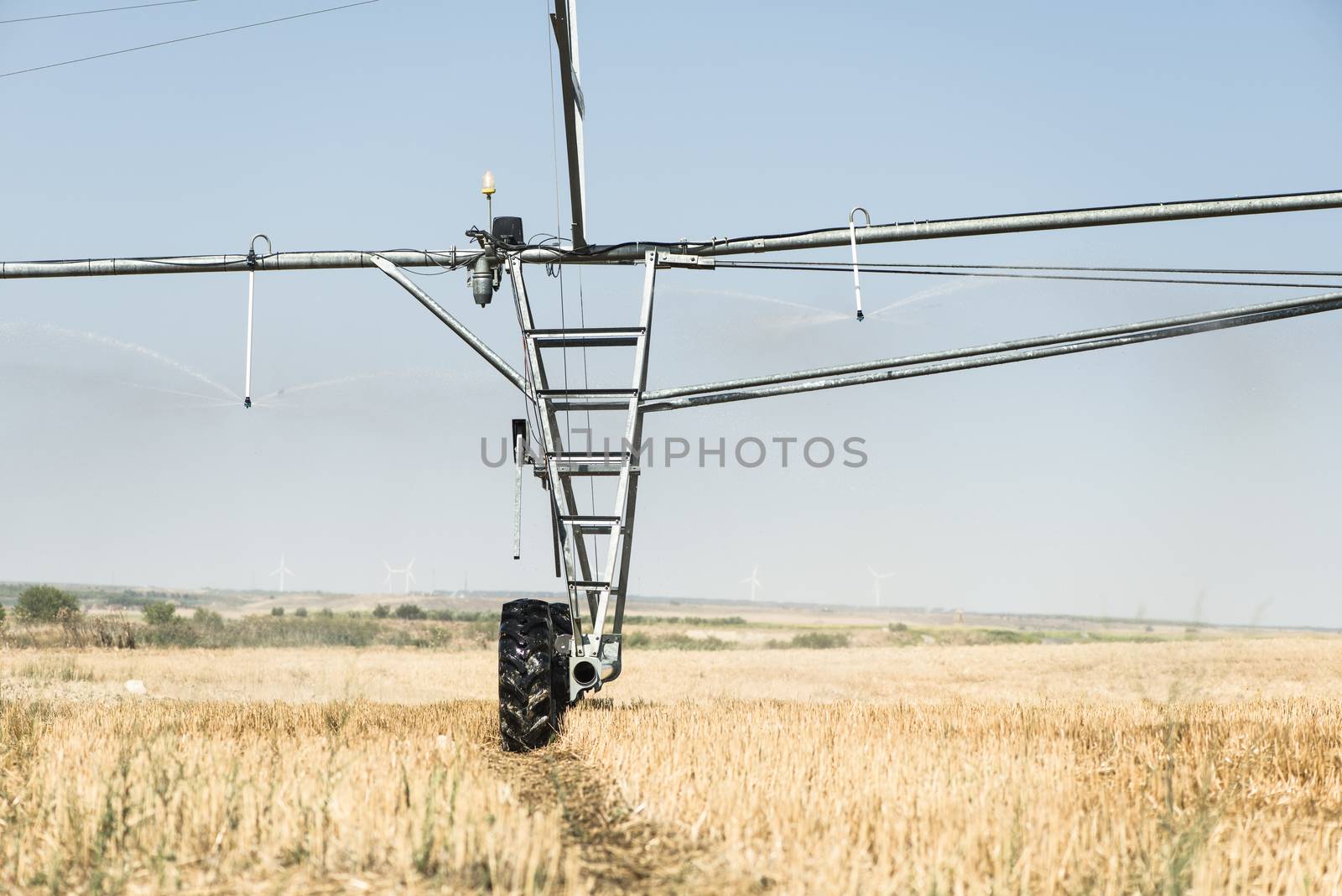 Irrigation sprayers in the field. Yellow plants