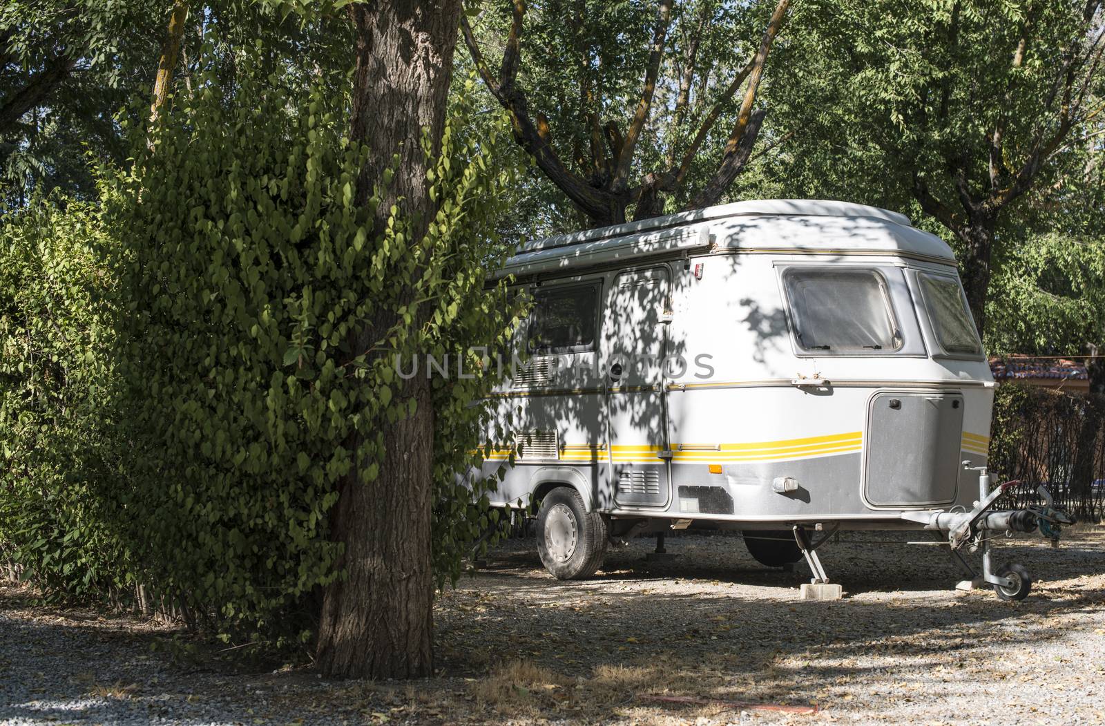 Small caravan on campsite. Green bushes