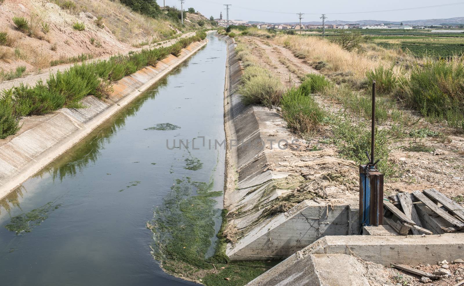 Irrigation canal and green plants