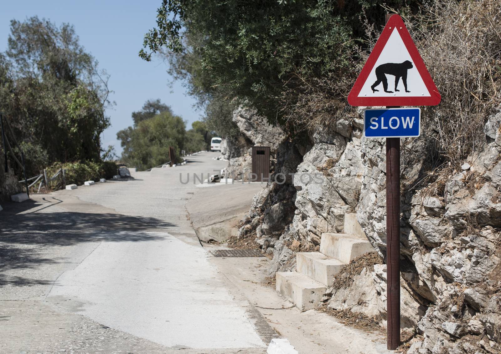 Sign monkey on the road