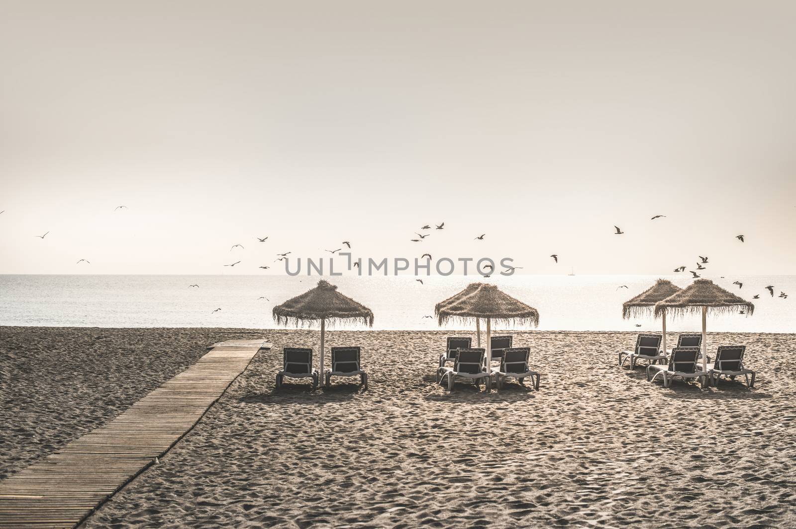 Wooden path to the beach, umbrellas and birds