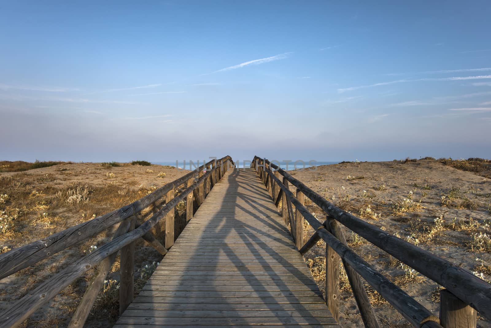 Wooden path to the beach. Morning sky