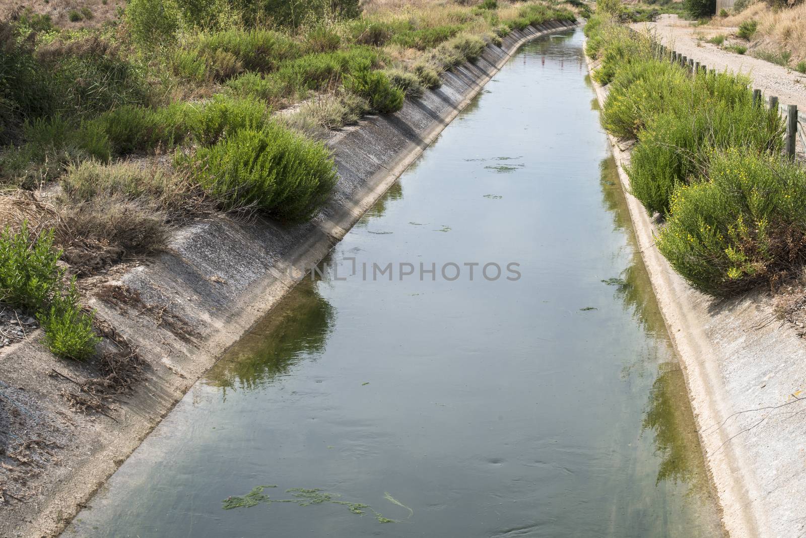 Irrigation canal and green plants