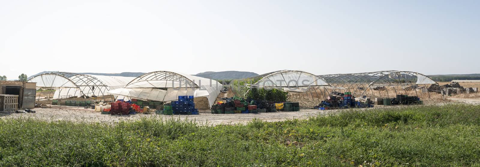 Greenhouse ousite view. Many crates