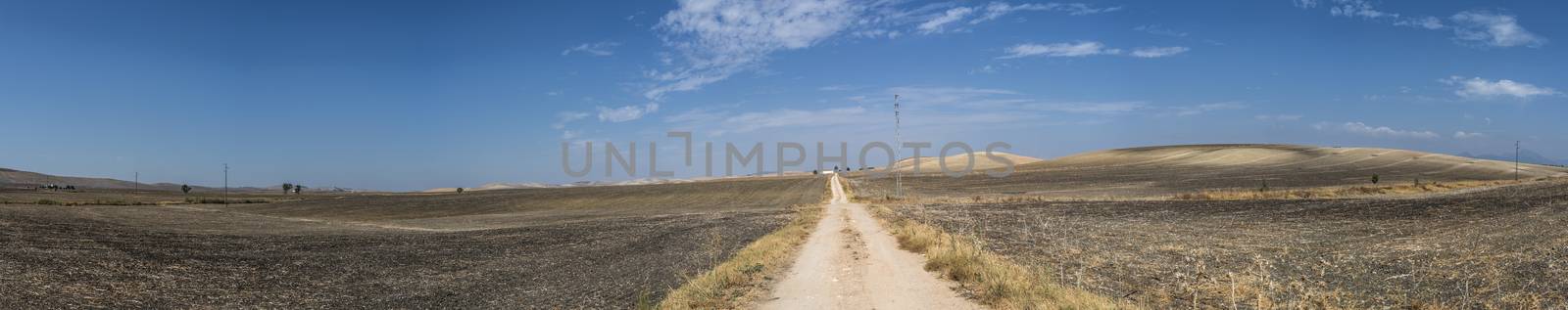Vintage dirt road by deyan_georgiev