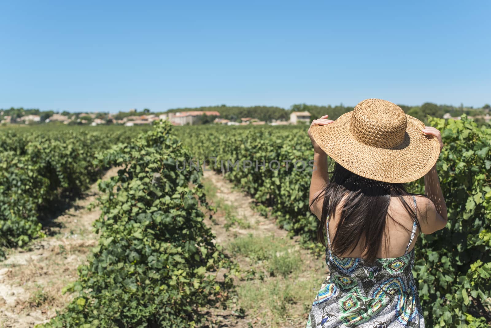 Woman with summer hat watching vineyards in a row