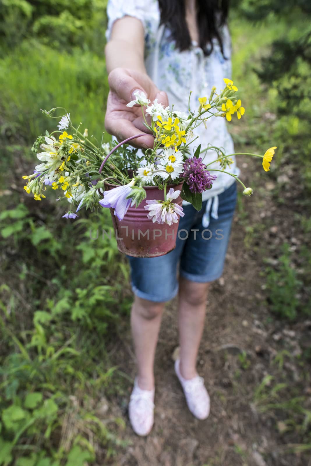 Woman collects wild flowers by deyan_georgiev