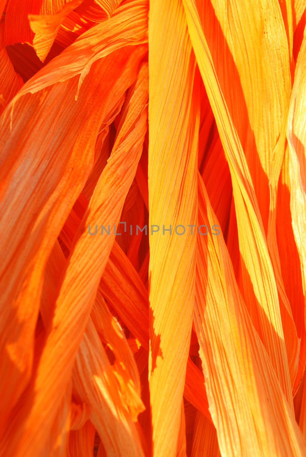 Dried corn husk dyed in dark orange. For making krathong.;