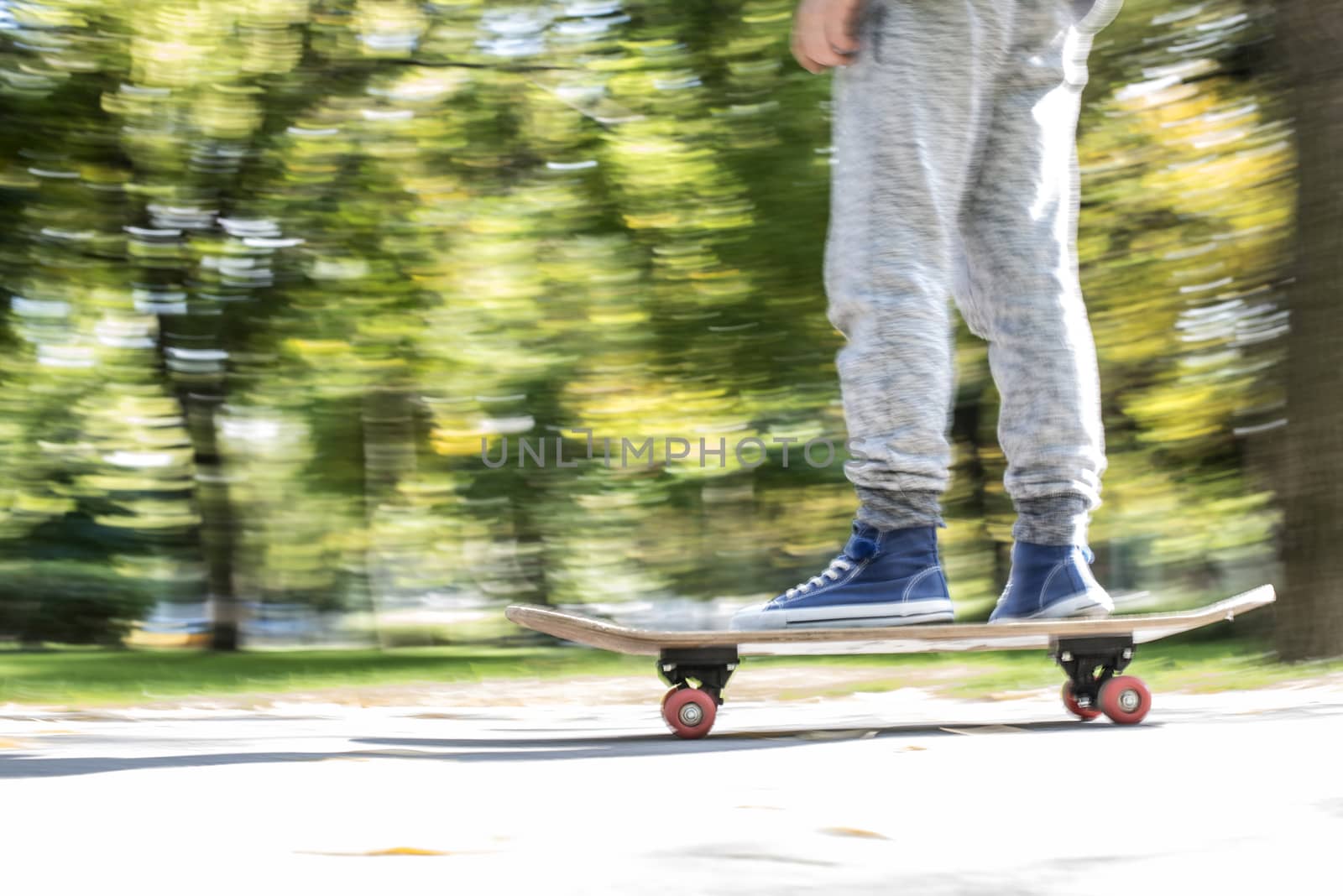 Boy with skateboard in the park. Autumn leaves