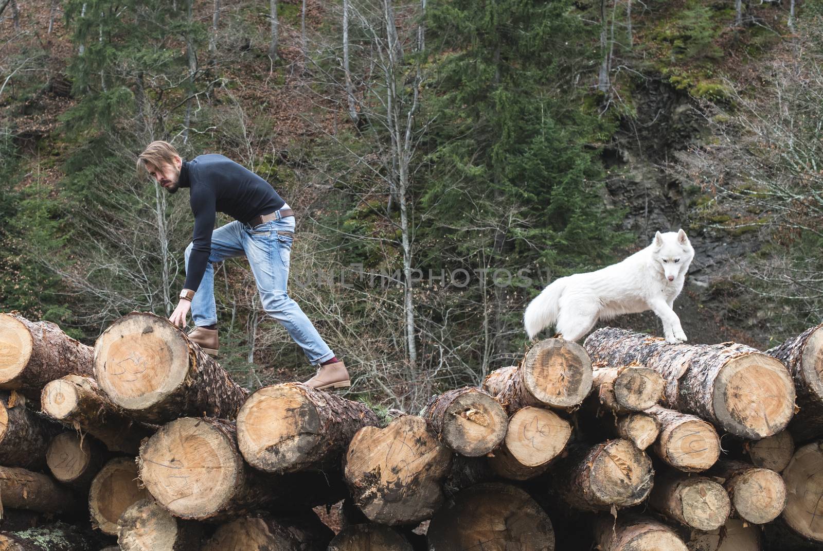 Young man and dog on logs in the forest. Fashion style
