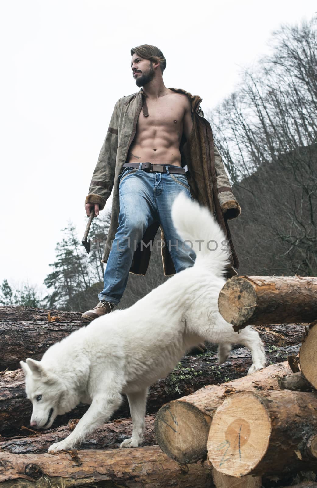 Young man and dog on logs in the forest by deyan_georgiev