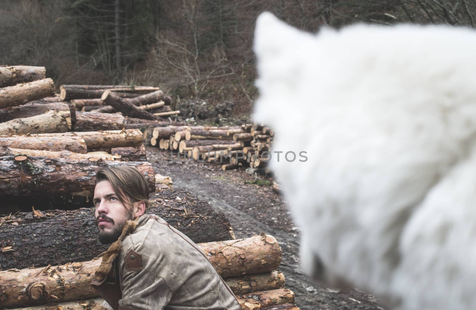 Young man and dog on logs in the forest by deyan_georgiev
