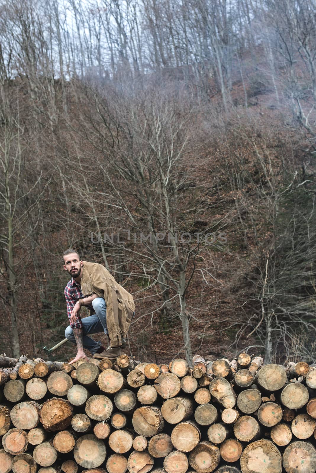 Young man on vintage truck with logs in the forest.