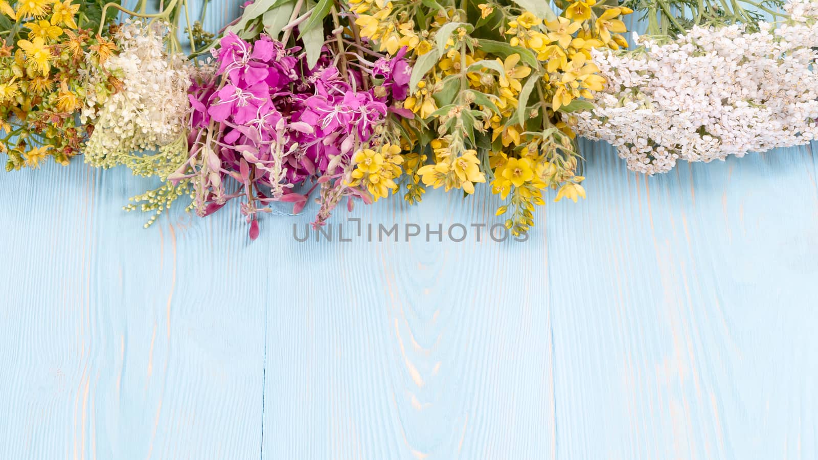 Bundles of medicinal herbs on a blue wooden background, alternative medicine and herbal treatment concept, copy space, place for text by galsand