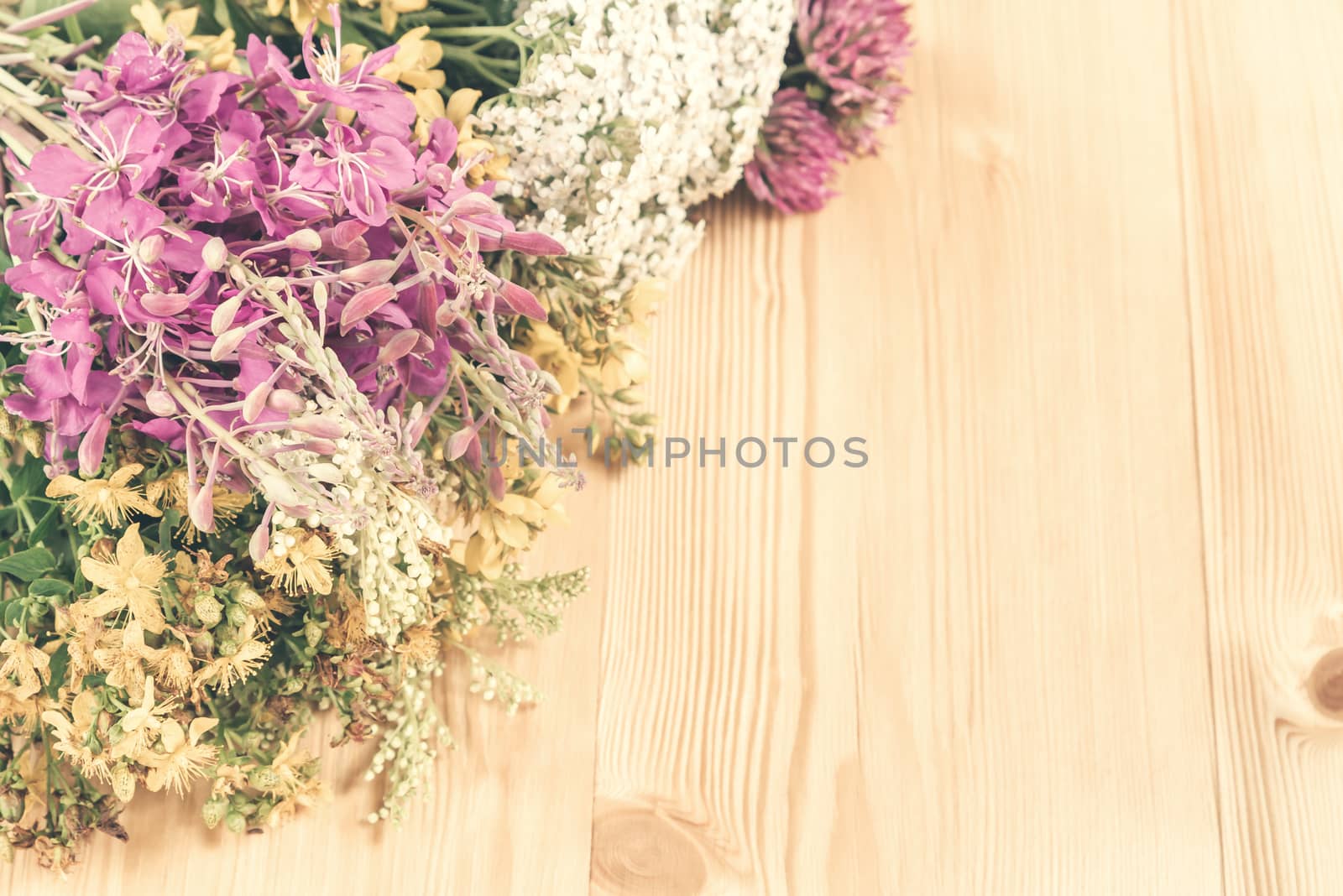 Bundles of medicinal herbs on a light wooden background, alternative medicine and herbal treatment concept, copy space, place for text.