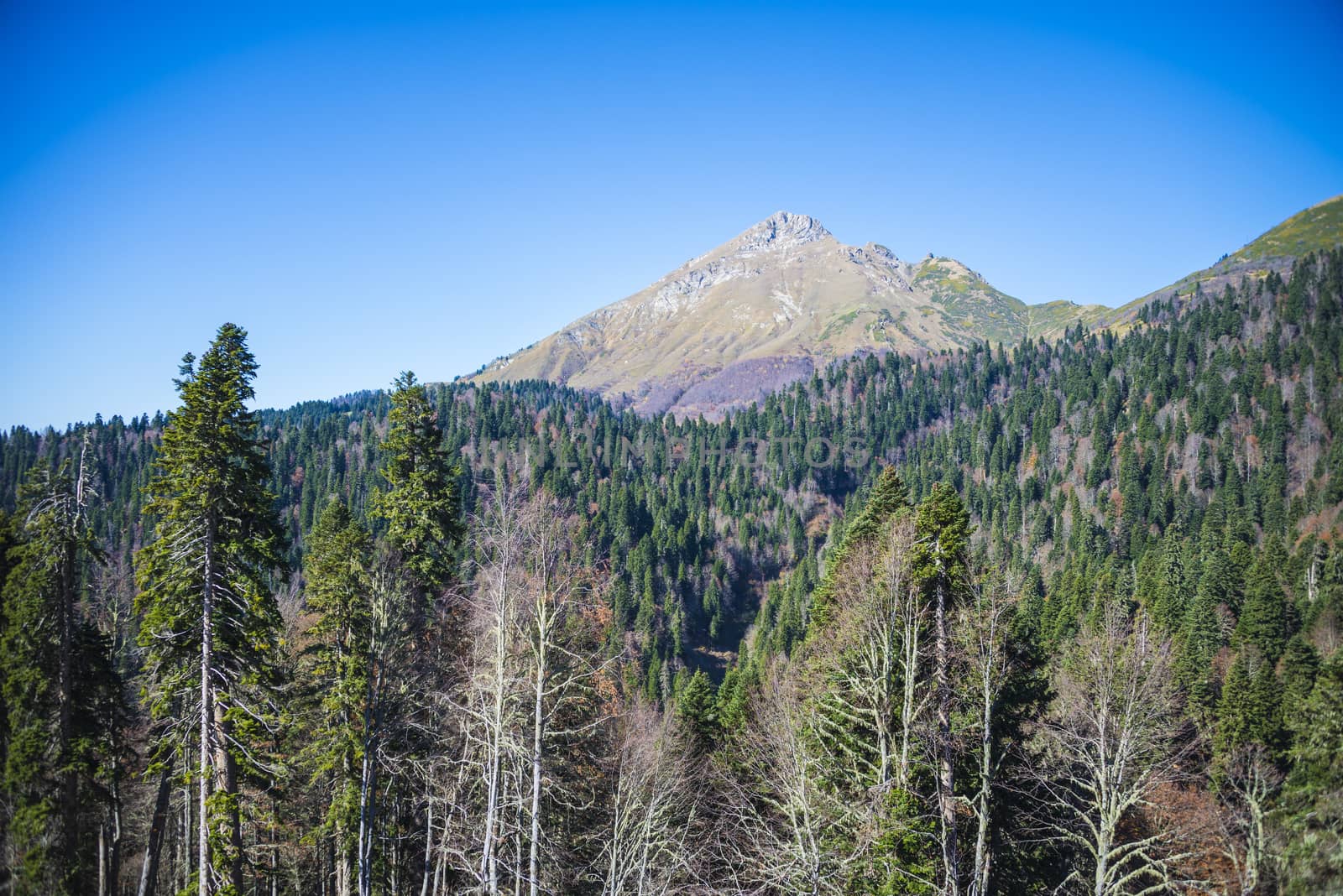 Caucasus mountains Krasnaya Polyana ski resort, Rosa Khutor, Sochi, Russia. On a clear Sunny autumn day on October 16, 2019.