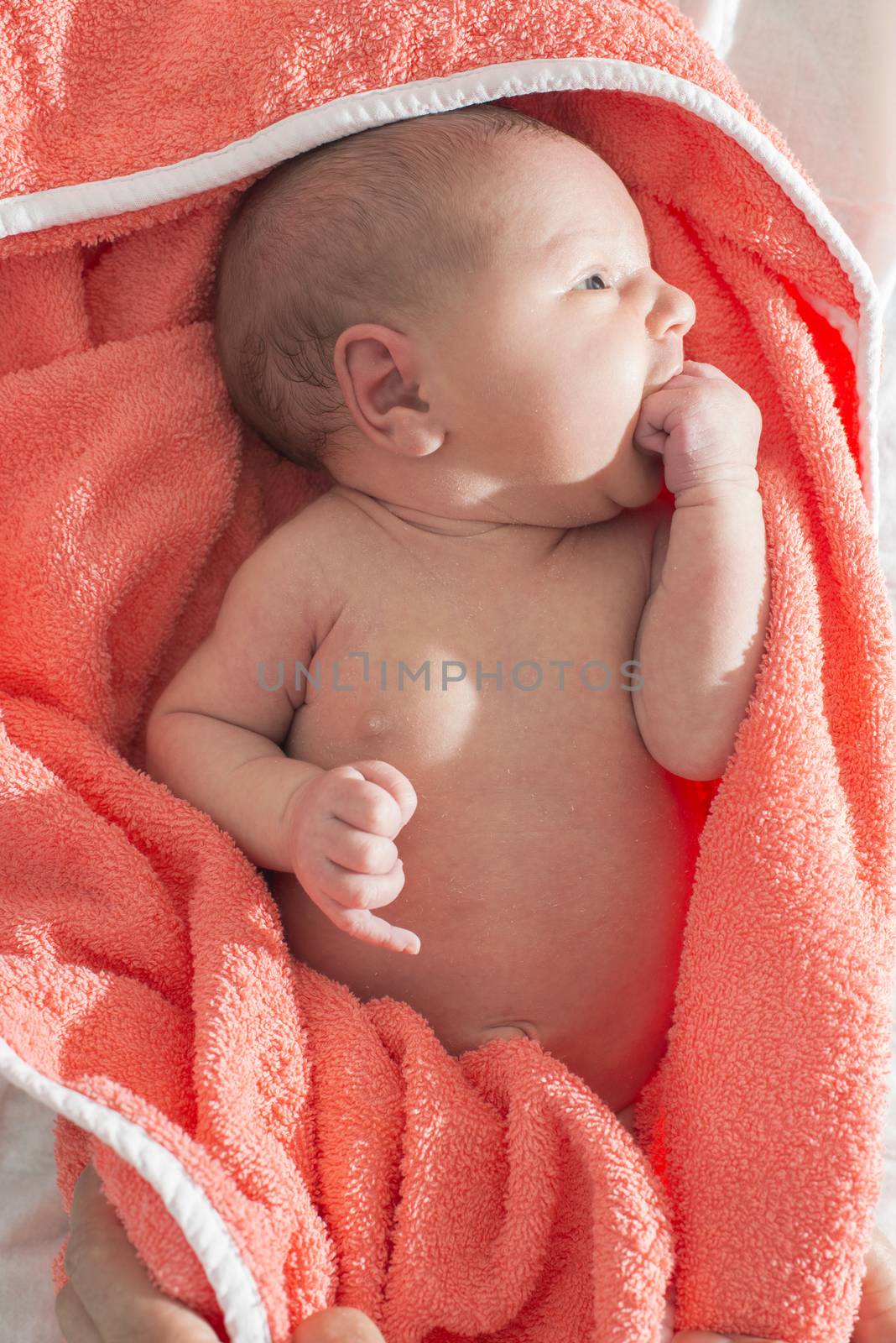 Bathing newborn baby girl. Vibrant colors