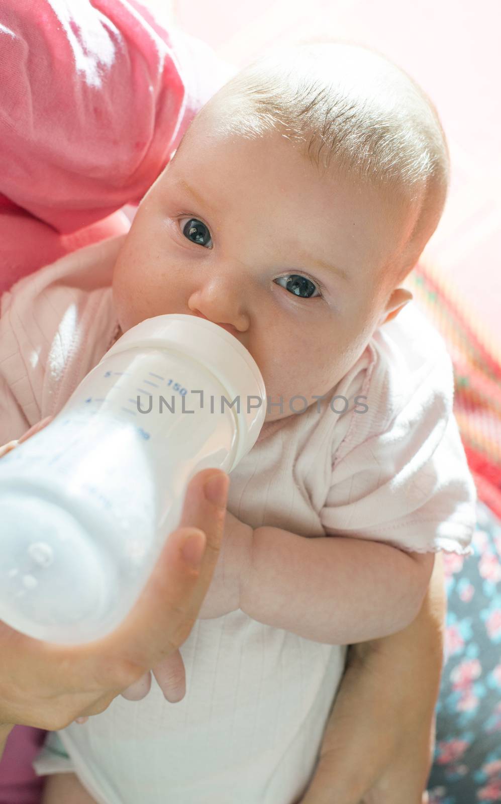 Baby sucks on a bottle by deyan_georgiev