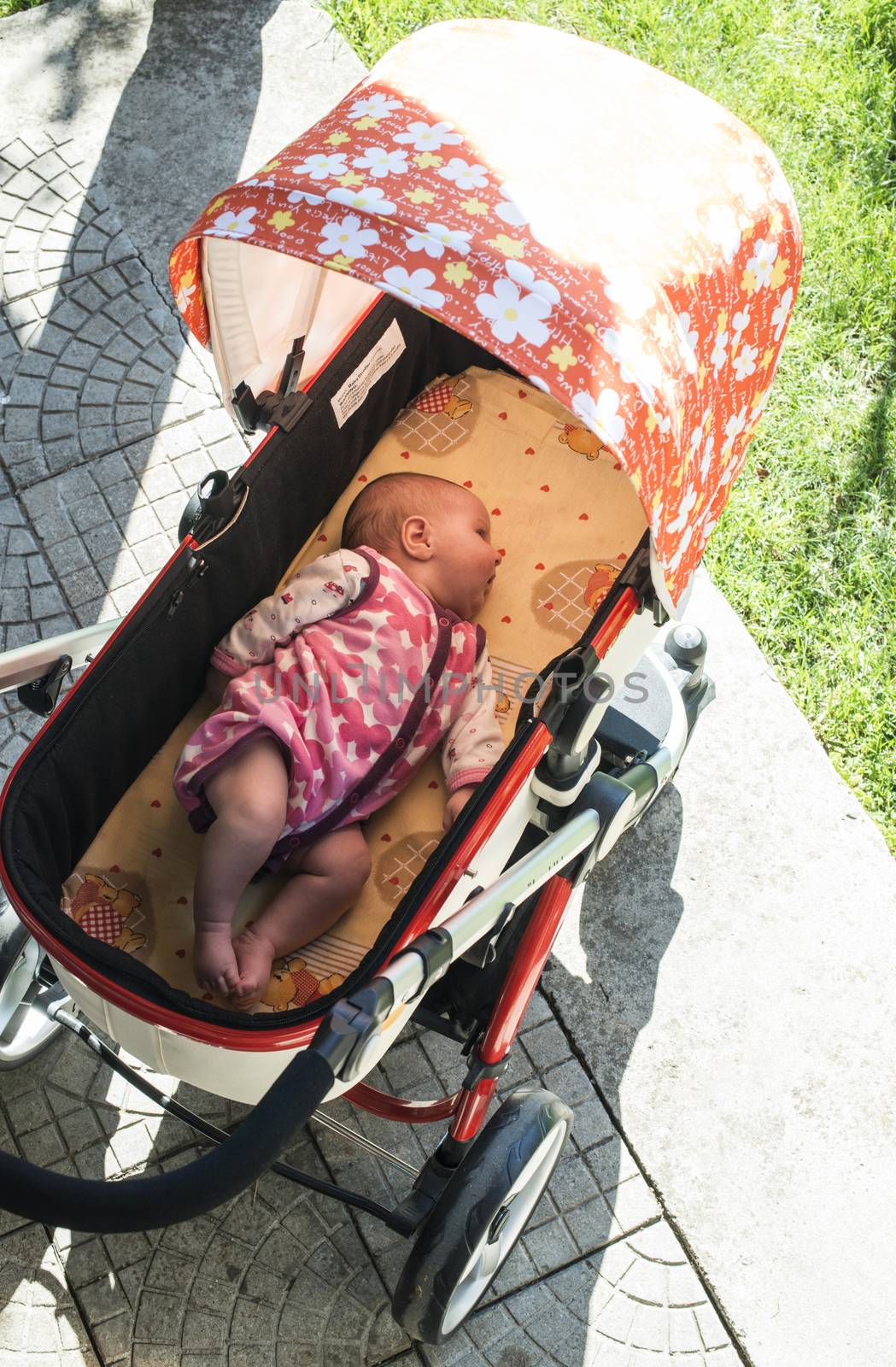Baby sleep in baby buggy  by deyan_georgiev