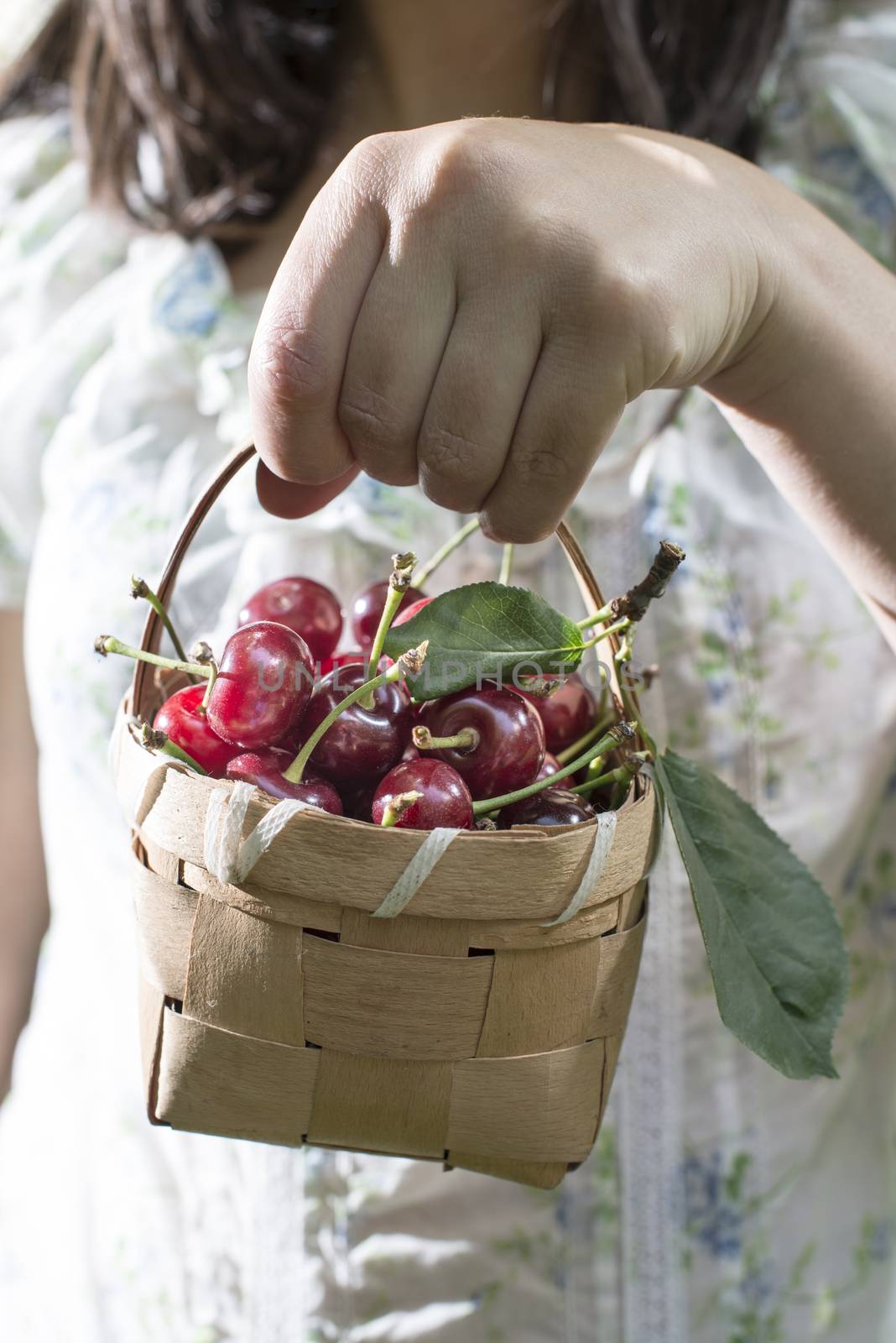 Woman picking cherries in the garden by deyan_georgiev