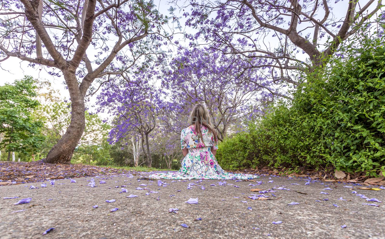 Woman sitting under a canopy of purple flowers by lovleah