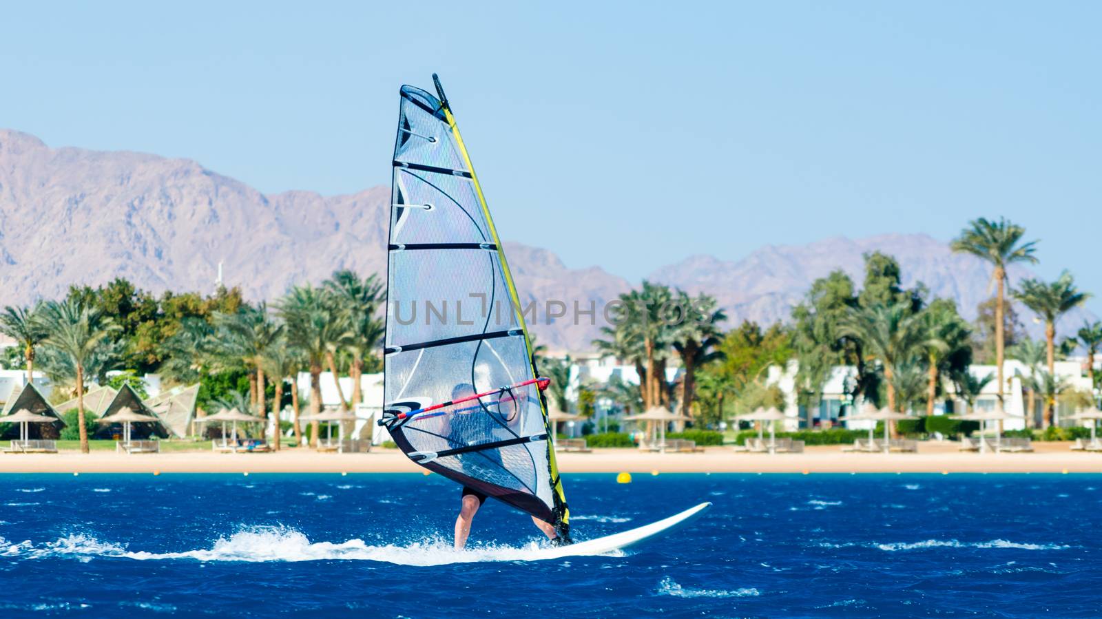 windsurfer rides on the waves of the Red Sea on the background of the beach with palm trees and high mountains in Egypt Dahab