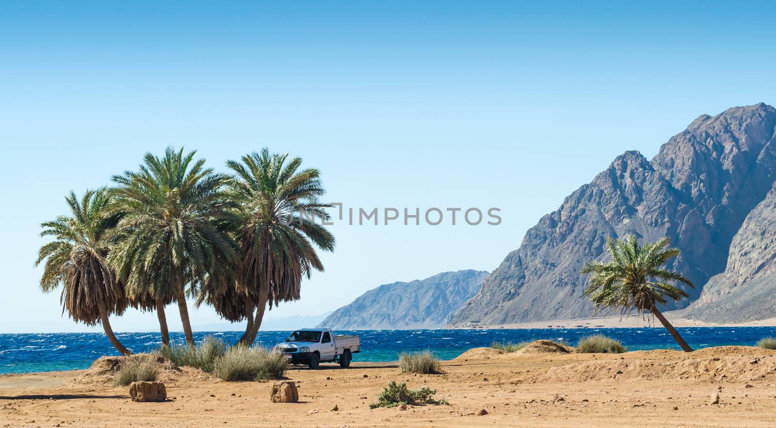car under the palm trees on the Red Sea on the background of the rocky mountains in Egypt