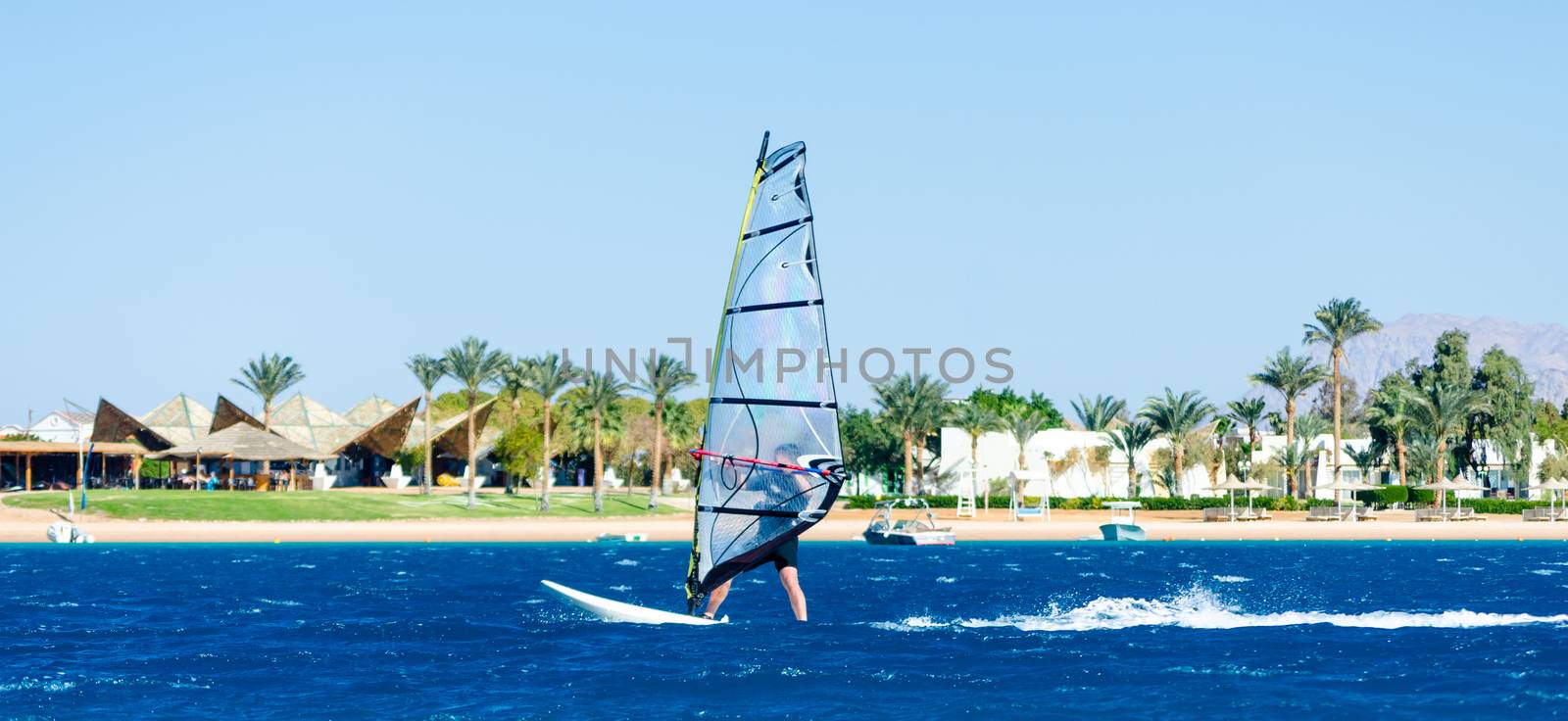 windsurfer rides on the background of the beach with a hotel and palm trees in Egypt Dahab