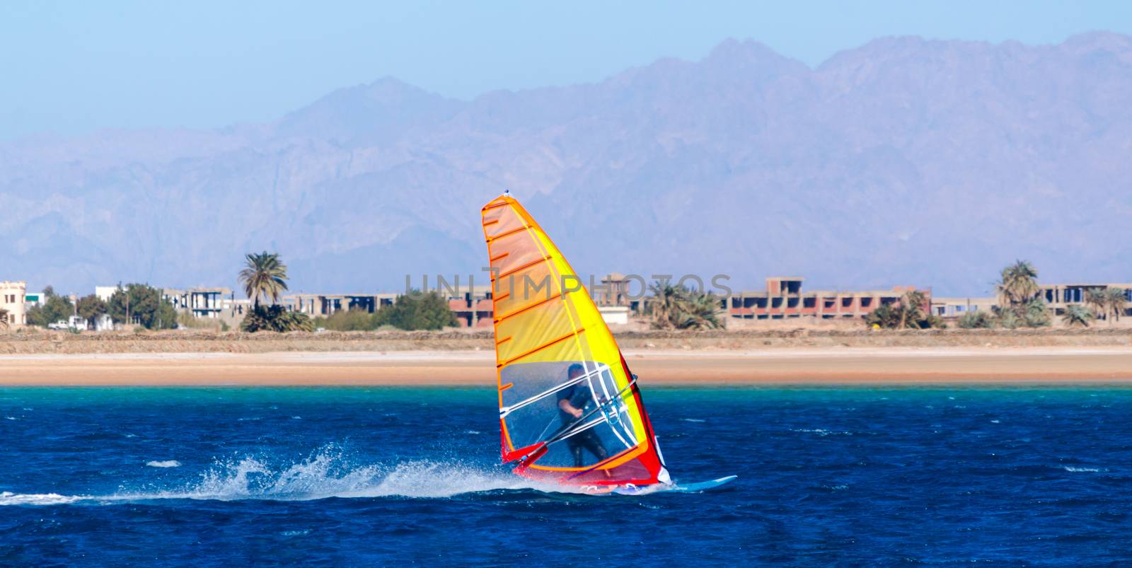 windsurfing in the blue water on the background of the beach with palm trees and mountains