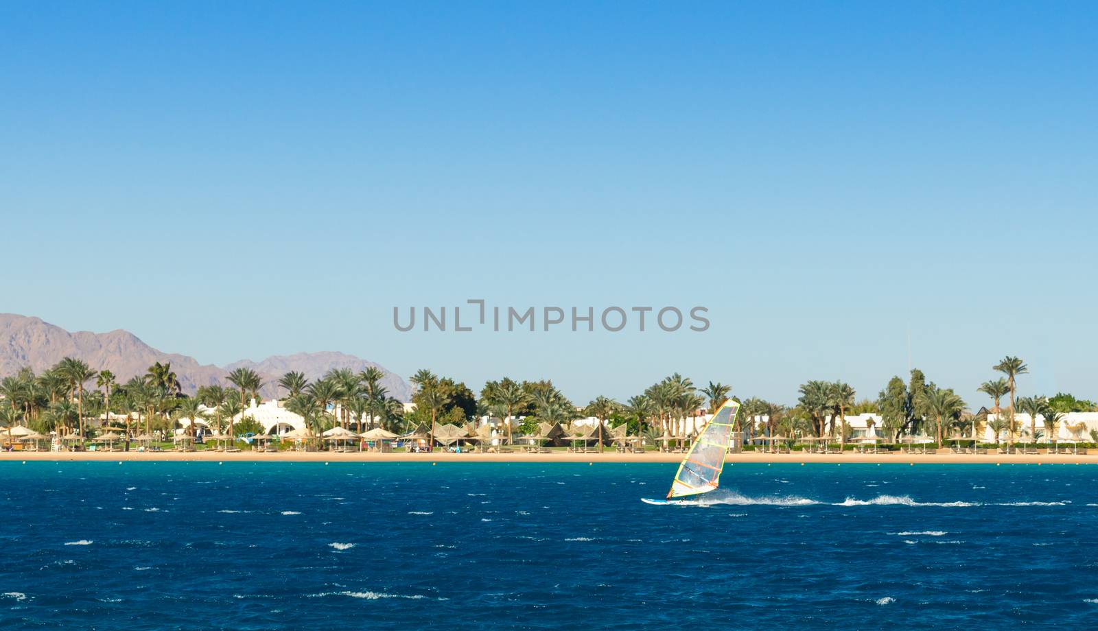 windsurfer rides on the background of the beach with palm trees and rocky mountains in Egypt Dahab