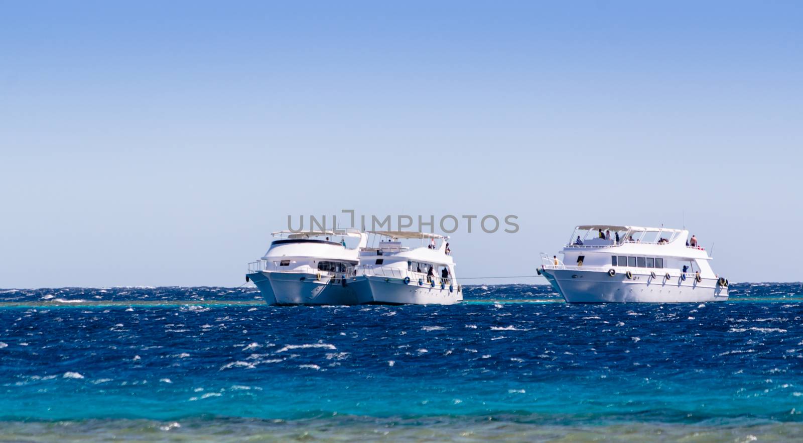 three white pleasure boat in the Red Sea