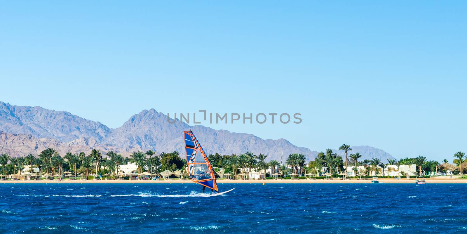windsurfer rides in the sea on the background of the beach with palm trees and high rocky mountains in Egypt Dahab