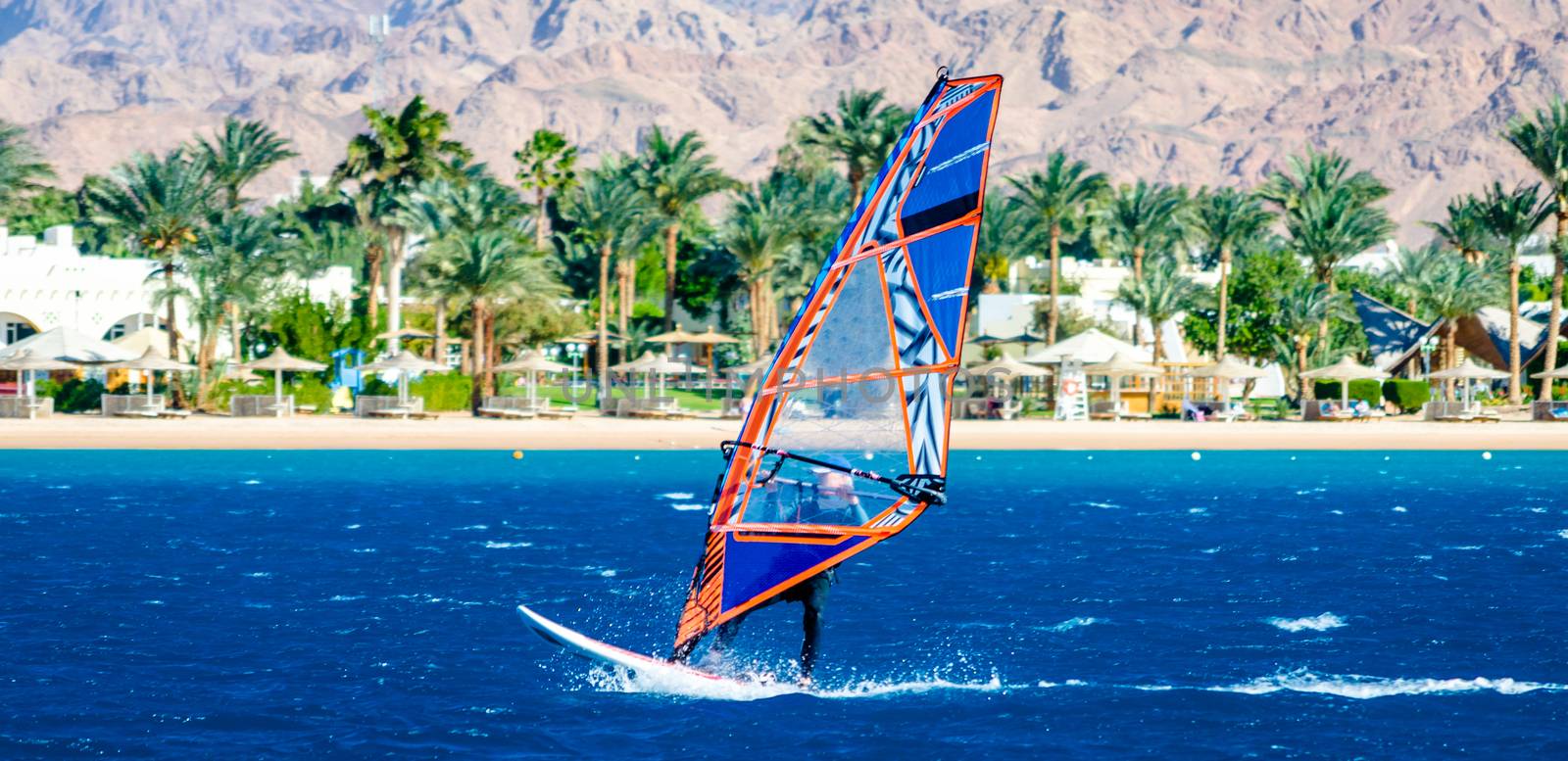 windsurfer rides on the background of the beach with a hotel and palm trees in Egypt Dahab