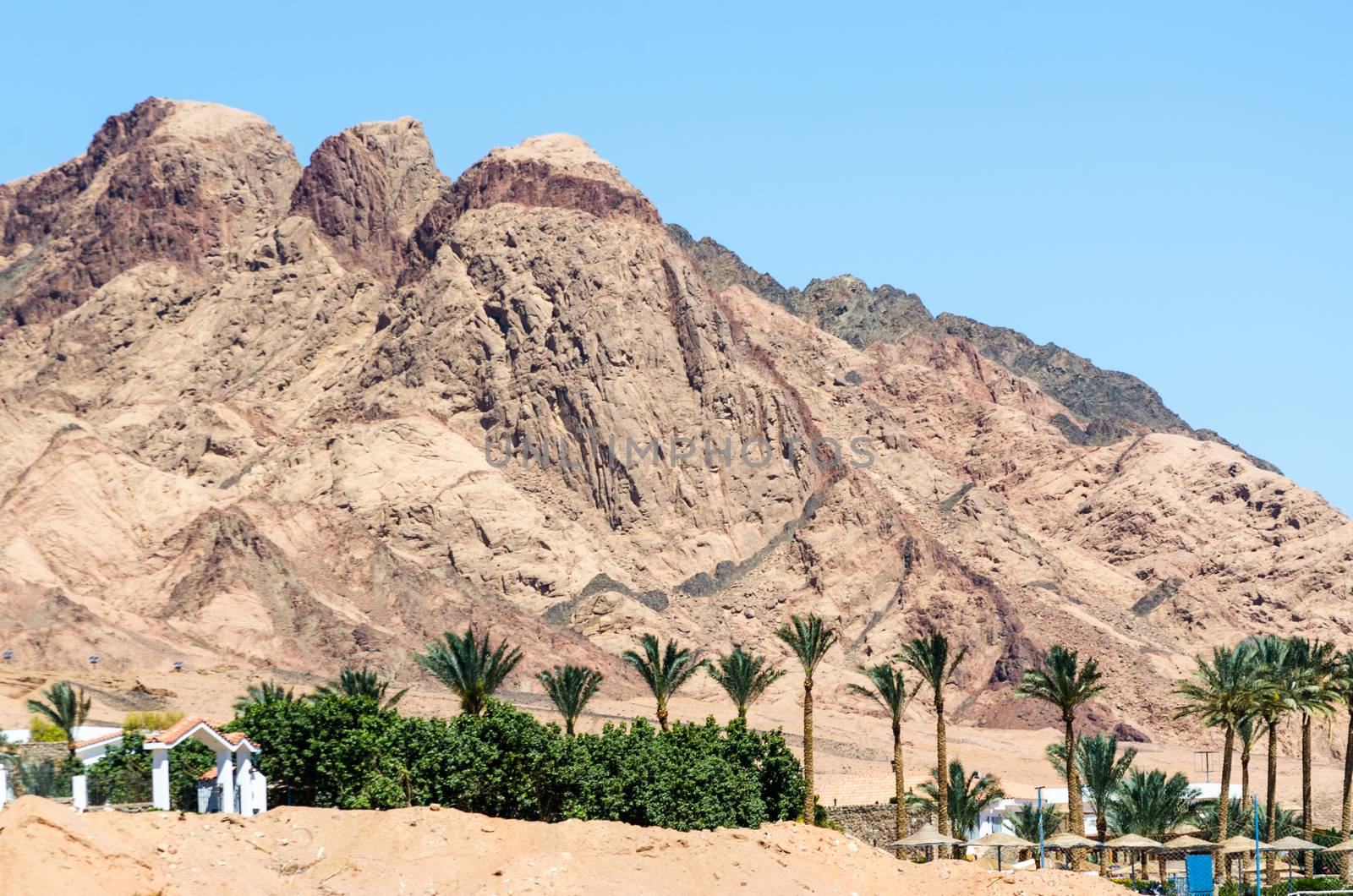 houses with trees and palm trees on the background of high mountains