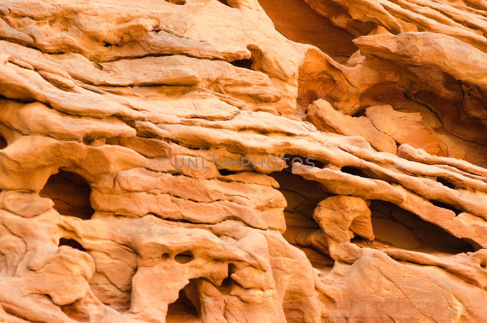 texture of orange stone rock in a colored canyon closeup