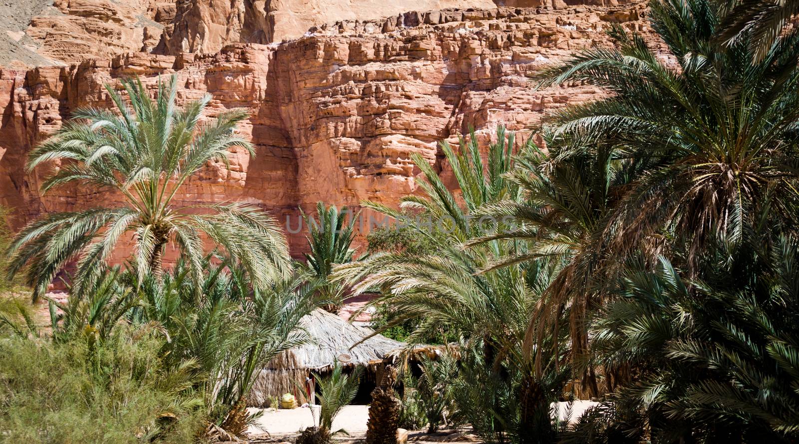 dwelling bedouin in an oasis in the desert among the mountains in Egypt Dahab