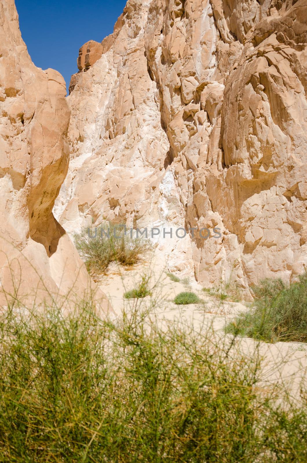 high rocky mountains and green bush in the canyon in Egypt Dahab