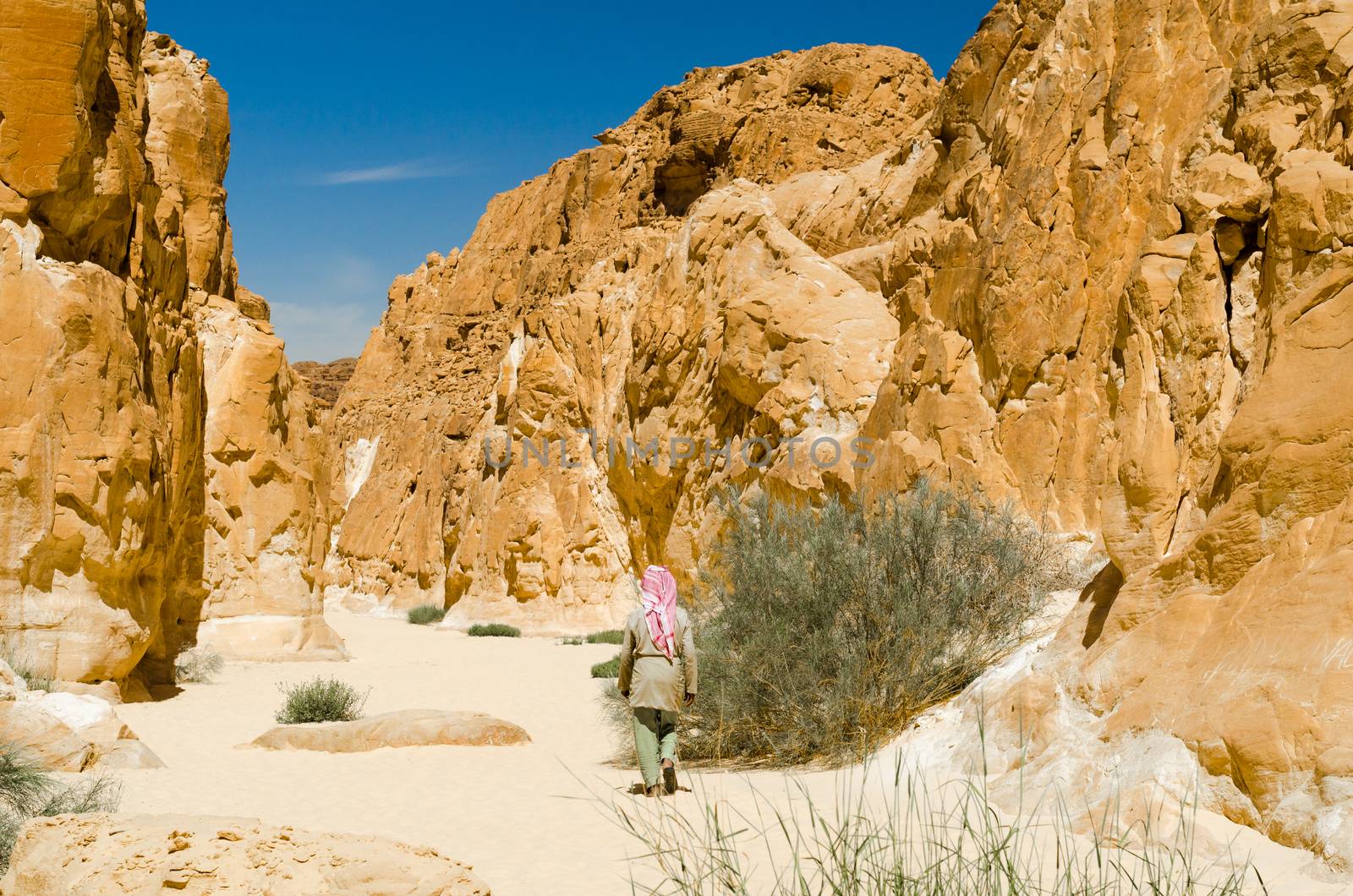 Bedouin walks among the rocks in a desert canyon in Egypt Dahab