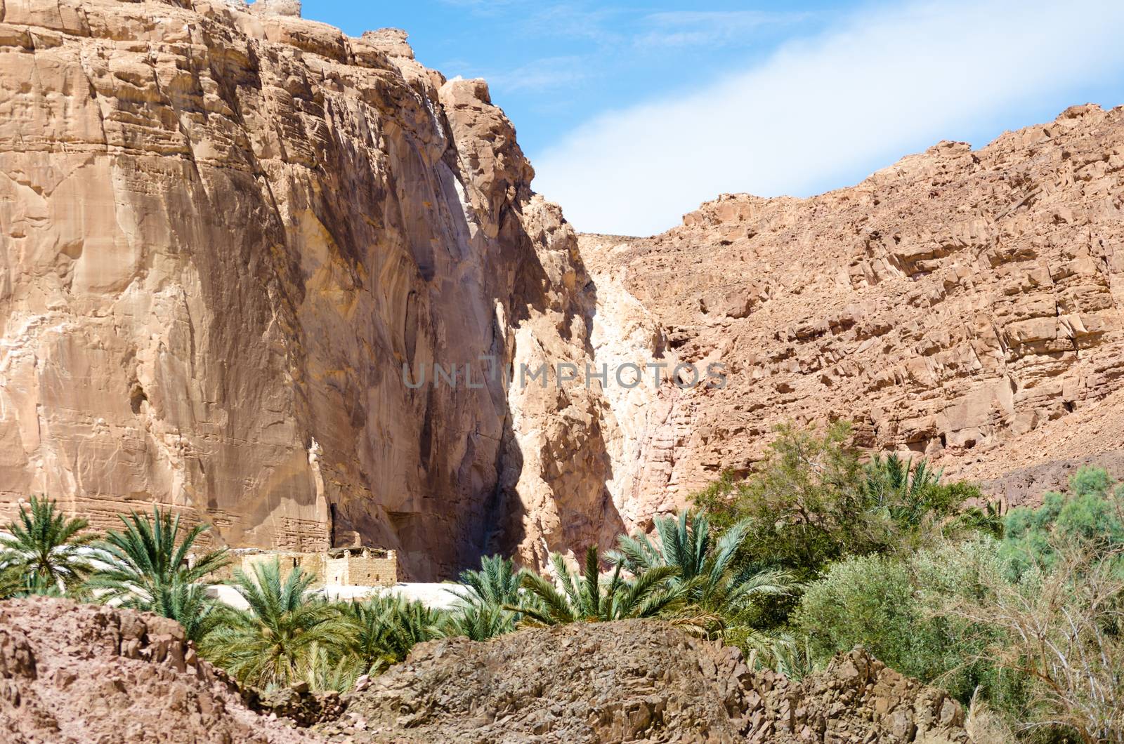 dwelling bedouin in an oasis in the desert among the mountains in Egypt Dahab