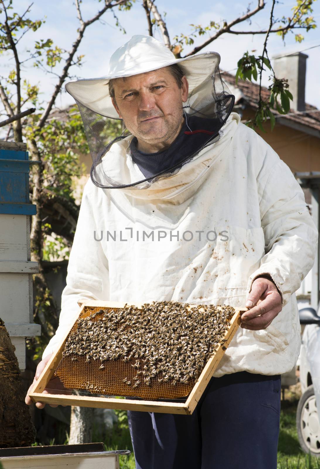 Beekeeper with honeycombs by deyan_georgiev