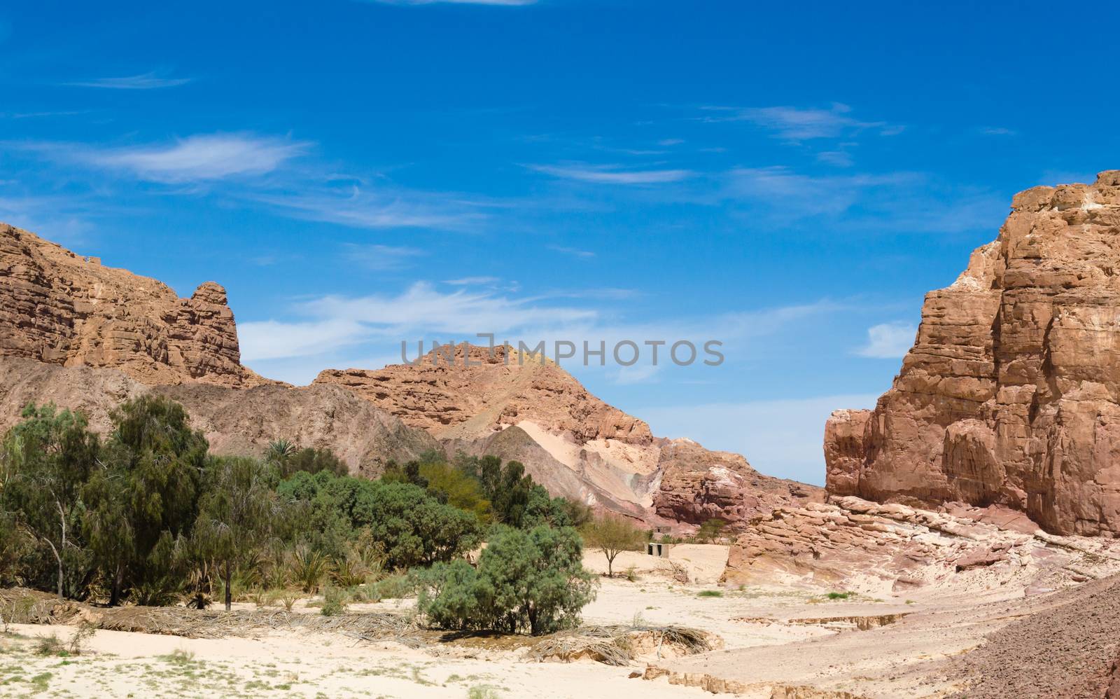 desert oasis in the middle of high rocky mountains in Egypt Dahab