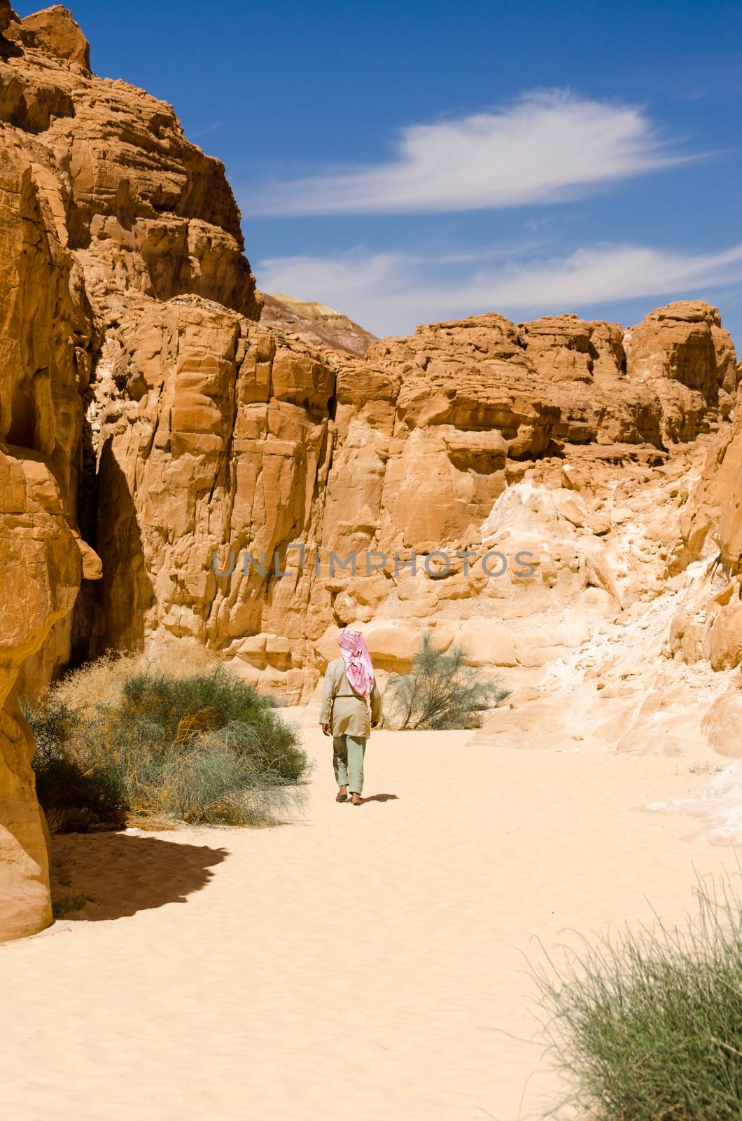 Bedouin walks among the rocks in a desert canyon in Egypt Dahab