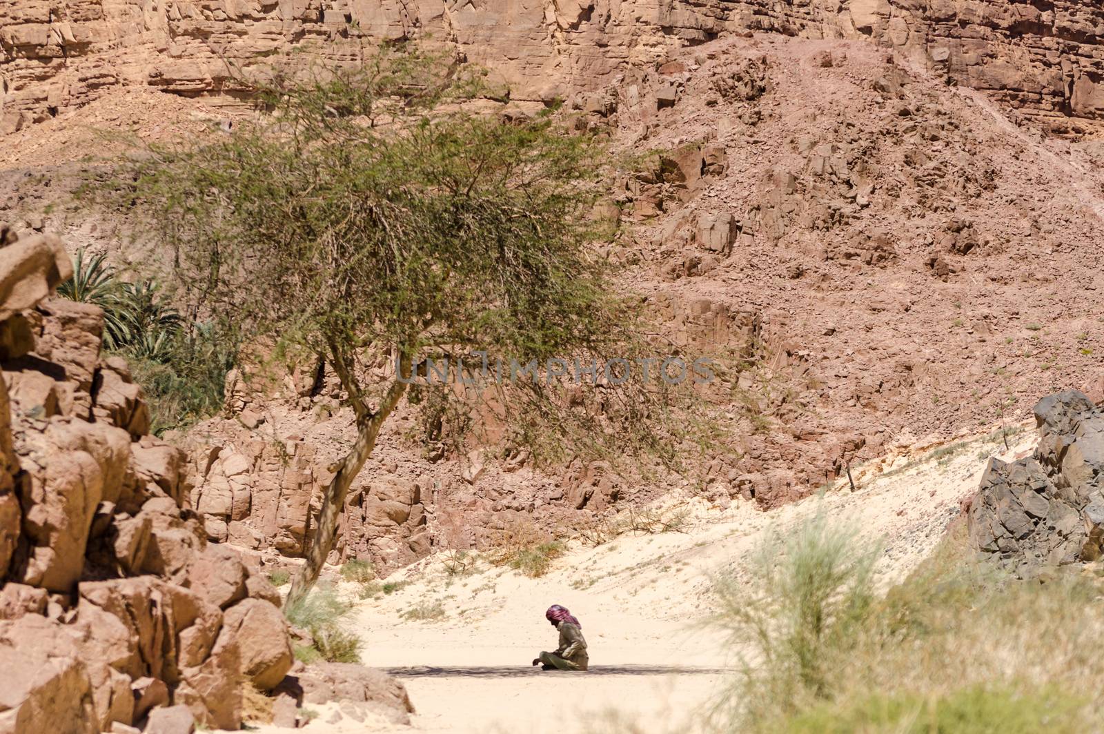 Bedouin prays sitting on the sand in the shade of a tree in the desert against the backdrop of mountains