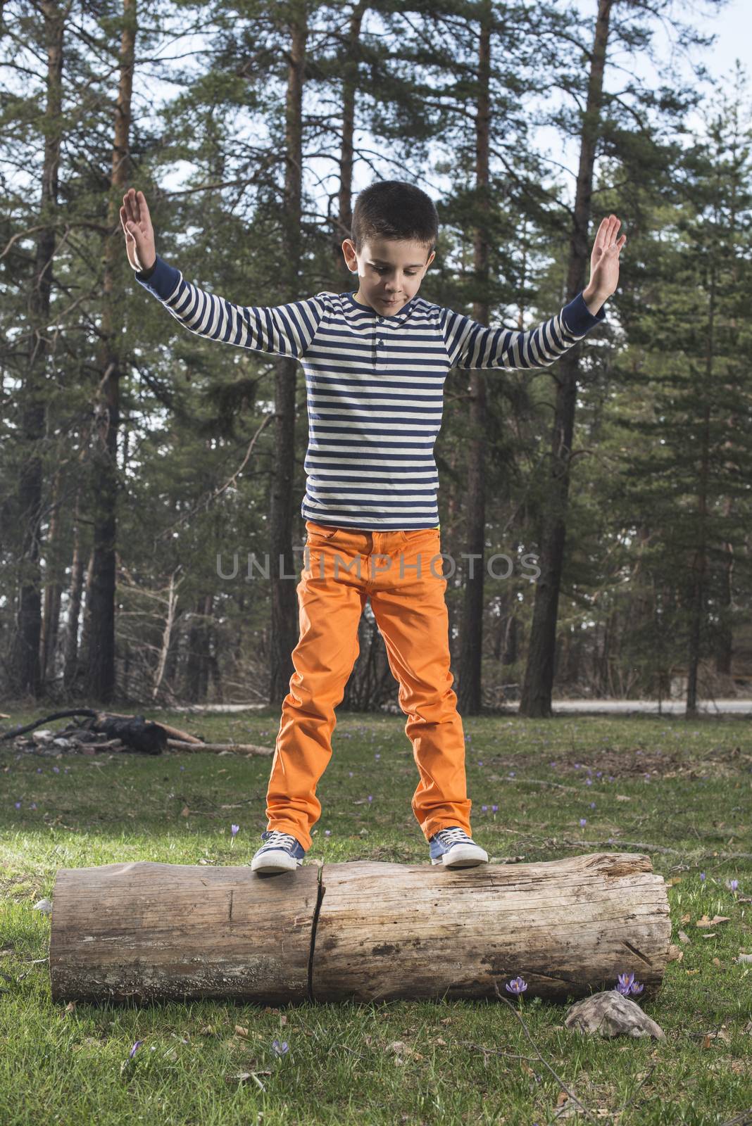 Child play in the forest by deyan_georgiev