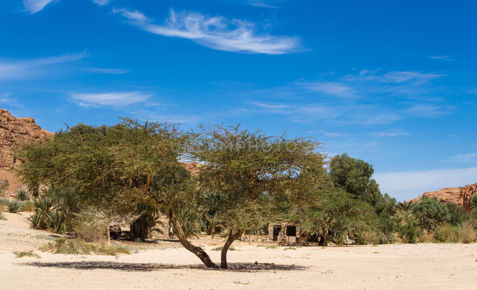 dwelling bedouin in an oasis in the desert among the mountains in Egypt Dahab