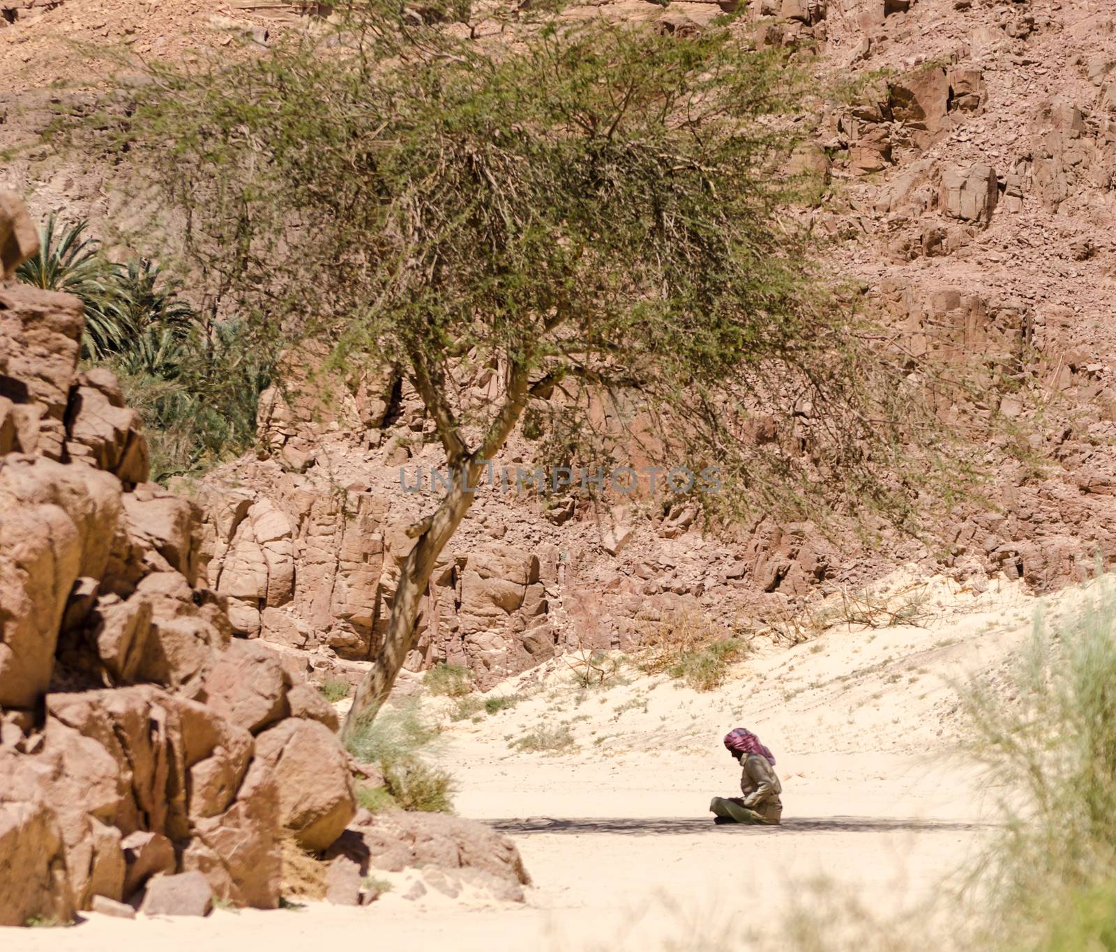Bedouin prays sitting on the sand in the shade of a tree in the desert against the backdrop of mountains